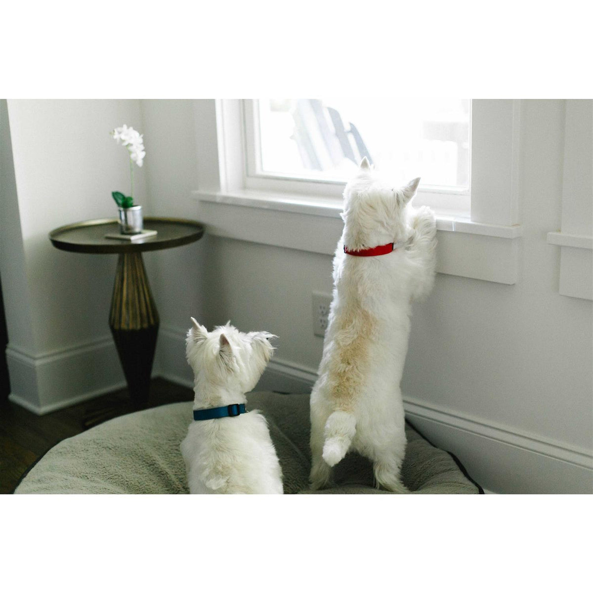 Transparent Window Sill Protector M28781
