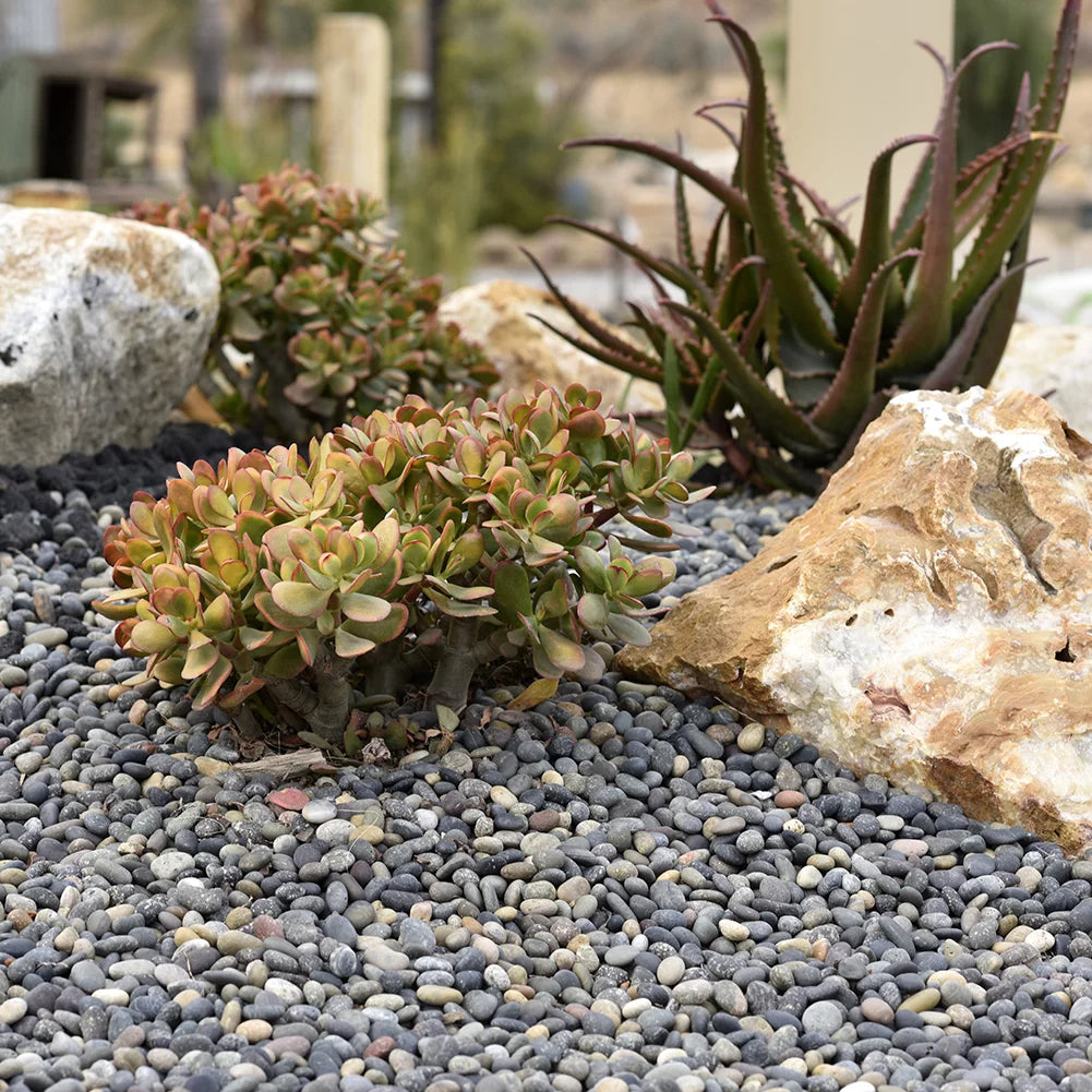 Round River Rock Landscape Stones 40 pounds H75913