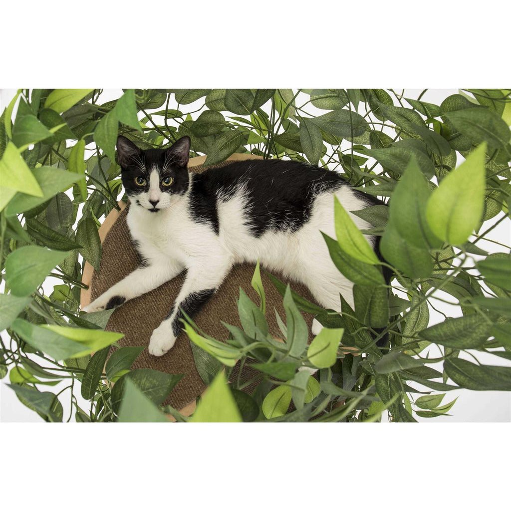 Cat Tree with Leaves Cat House & Cat Activity Tree X654072
