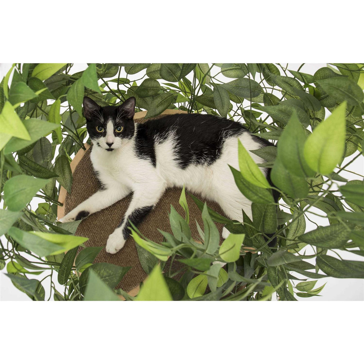Cat Tree with Leaves Cat House & Cat Activity Tree X654072