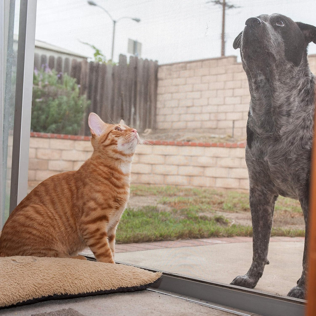 36” x 50’ Pet Proof Screen M891673