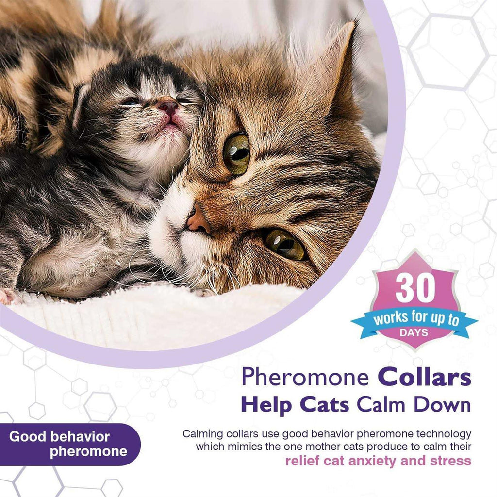 3 Pack Calming Collar T177