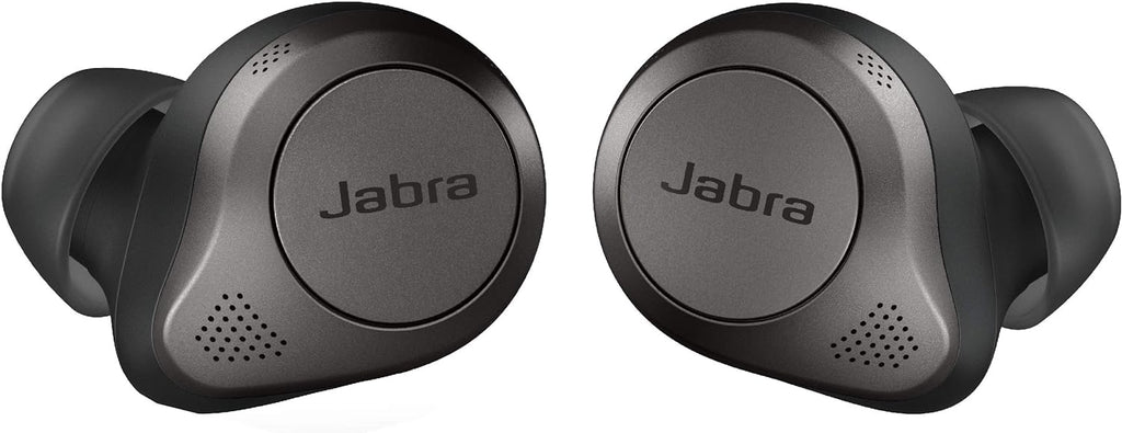 Titanium Black True Wireless Bluetooth Earbuds with Charging Case D857295