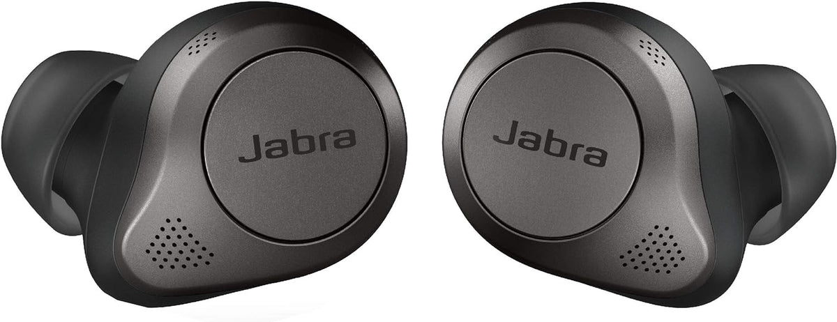 Titanium Black True Wireless Bluetooth Earbuds with Charging Case D857295