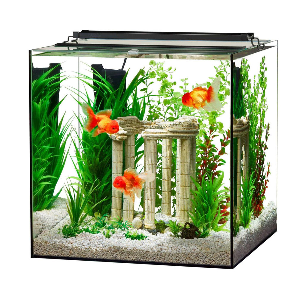 Frameless Cube Aquarium W660