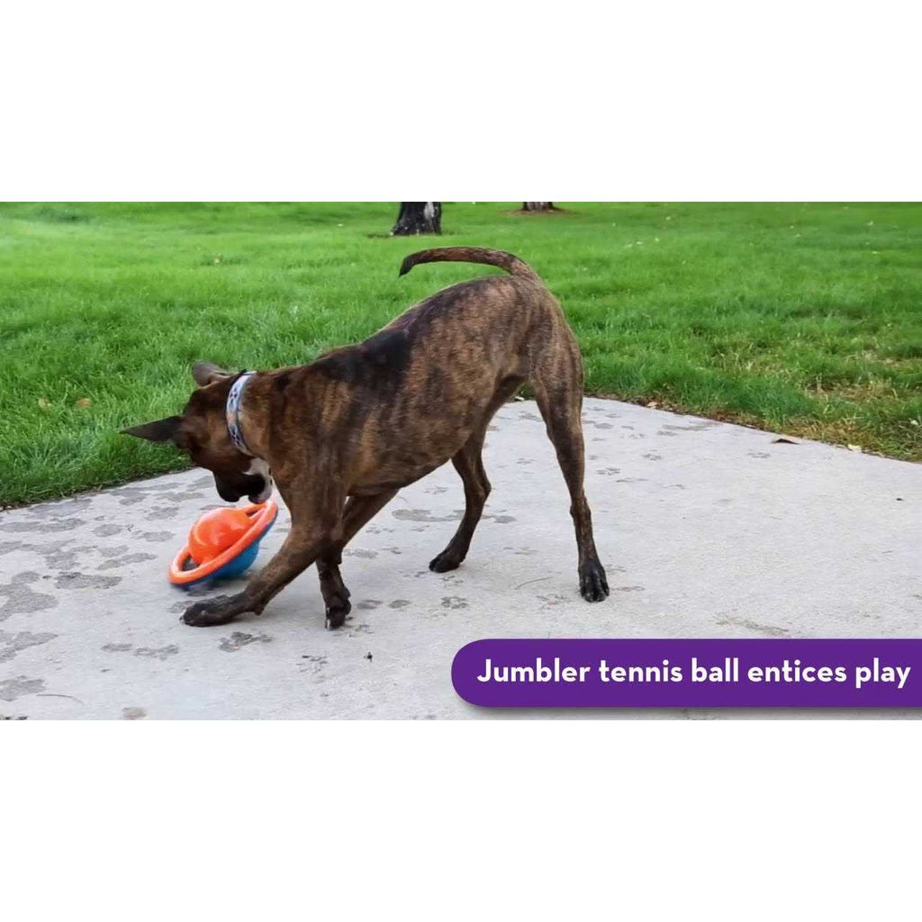 Jumbler Disc Dog Toy U66128