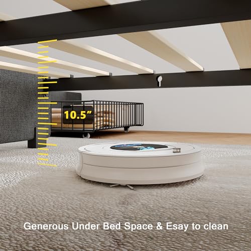 Light Grey Queen Bed Frame with 4 Storage Drawers Y837589