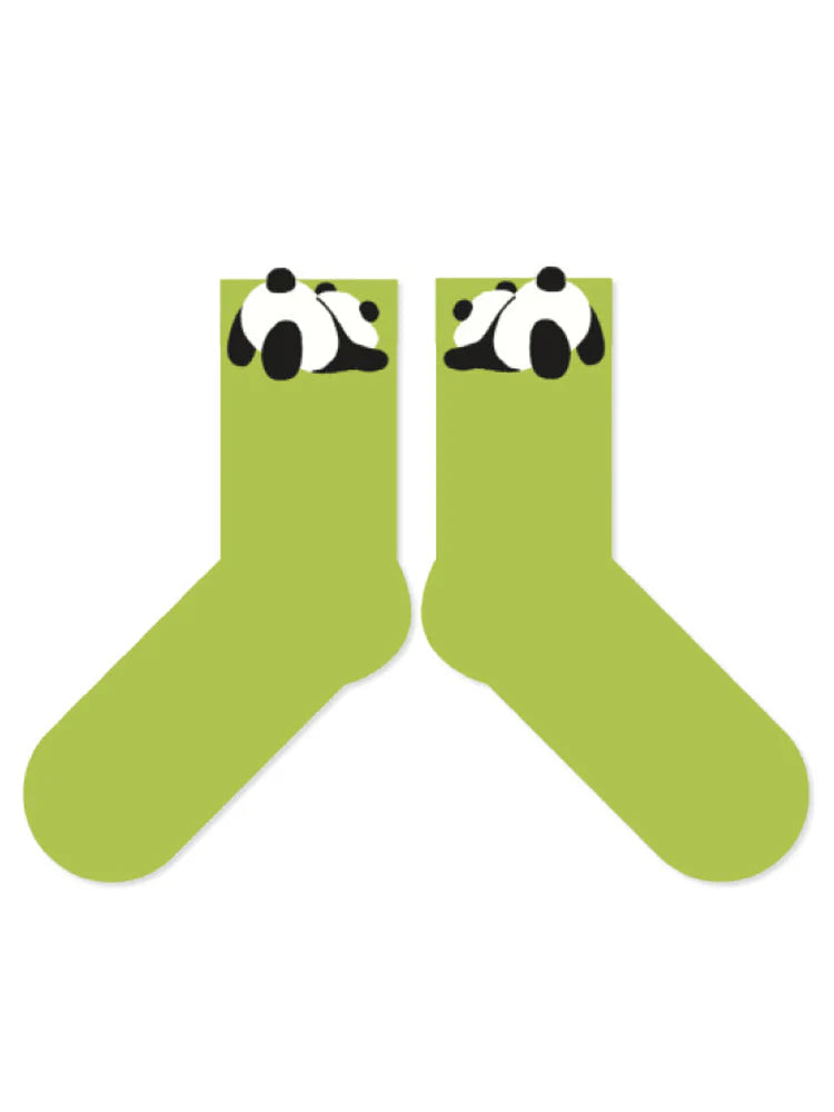 Cotton Socks Q468727