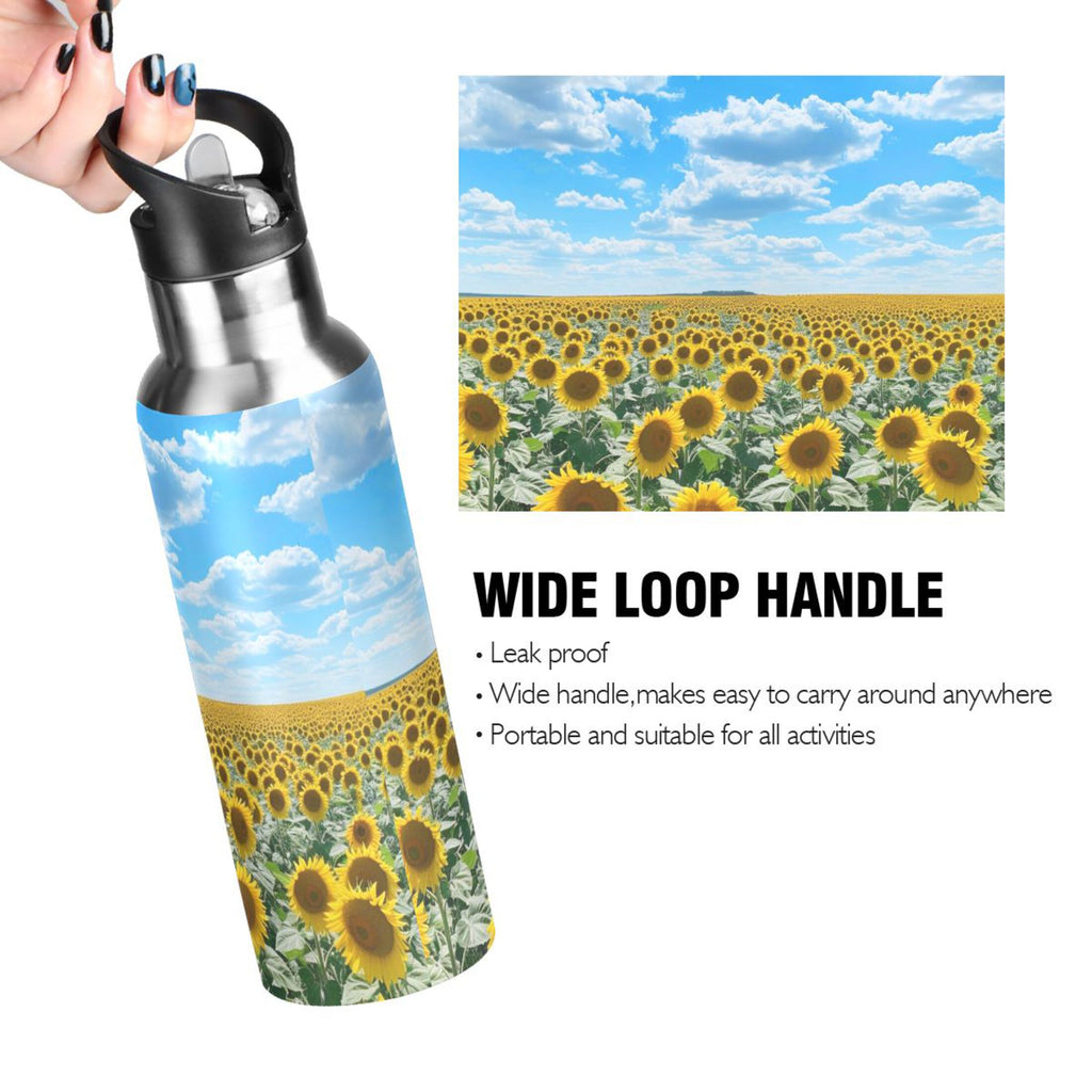 Insulated Thermos Stainless Steel Water Bottle with Straw Lid Flask 20 oz G154