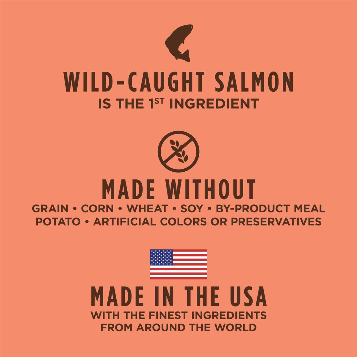 Grain Free Salmon Dry Cat Food C94973
