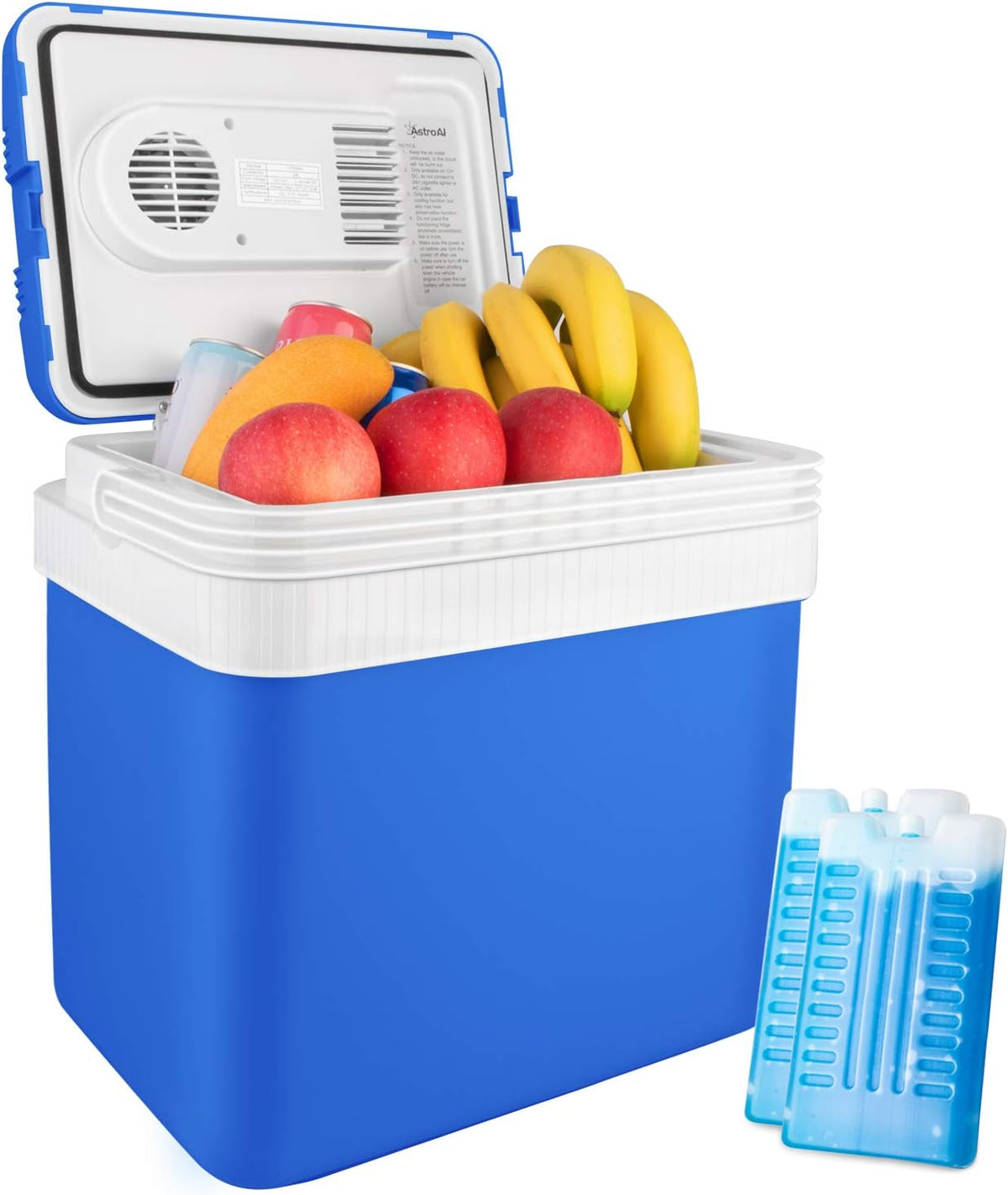 26 Quart 12V DC Portable Thermoelectric Car Cooler with 2 Ice Packs N7463