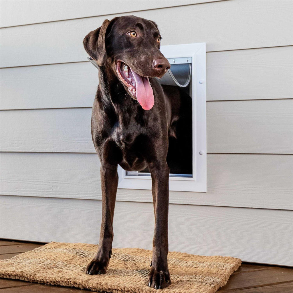 Wall Entry Pet Door E494157