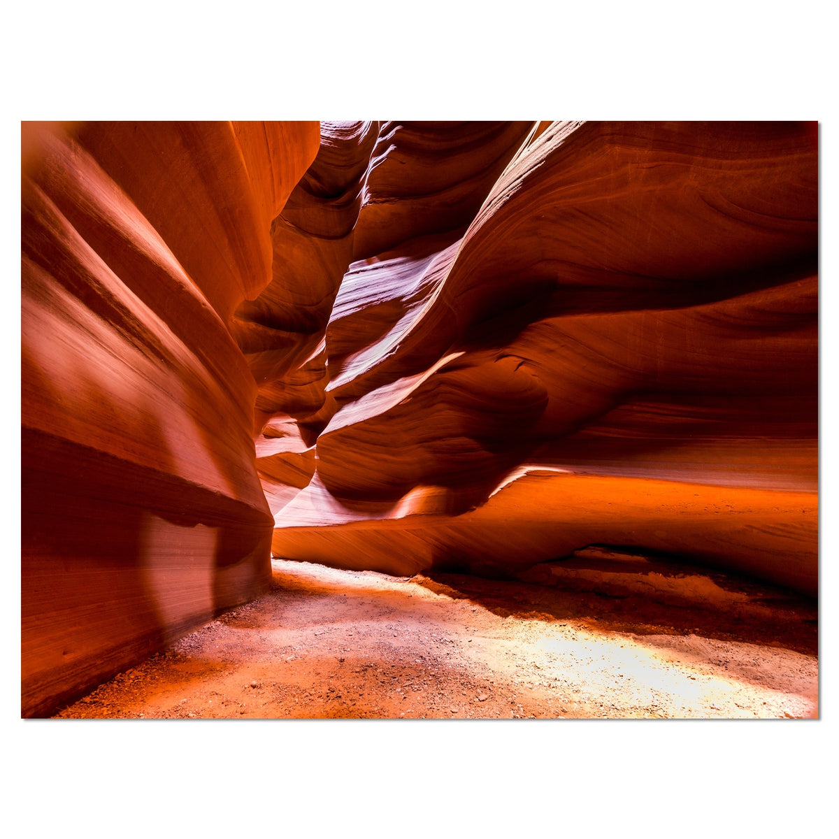 4 Piece Photographic Print on Wrapped Canvas Set H32265