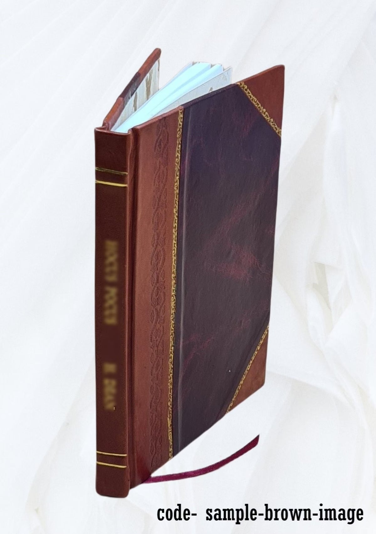 Leather Bound Book I568121