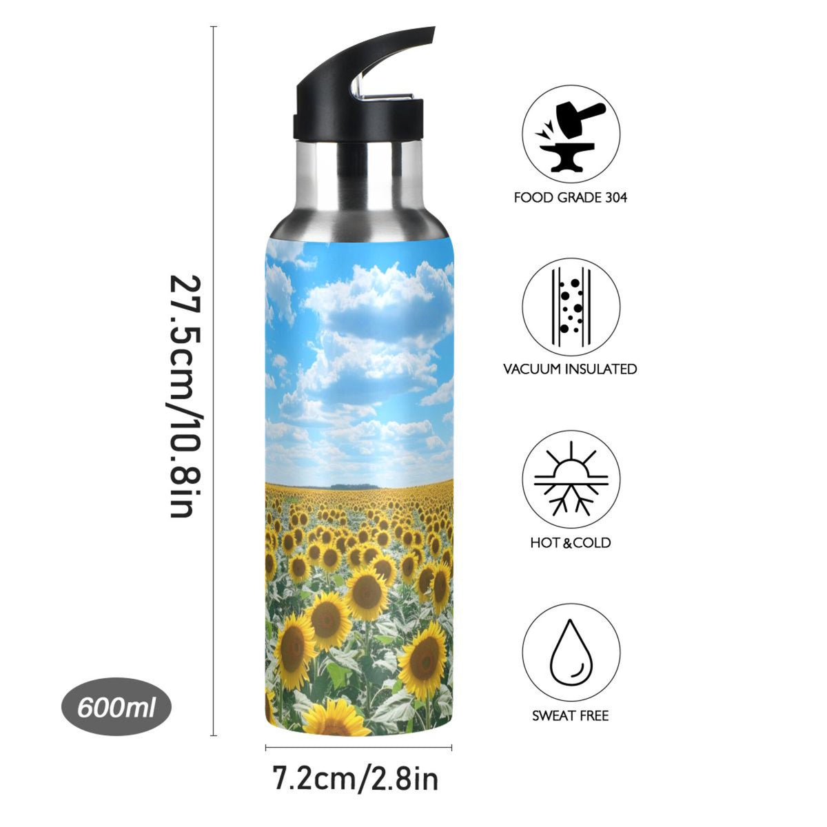 Insulated Thermos Stainless Steel Water Bottle with Straw Lid Flask 20 oz G154