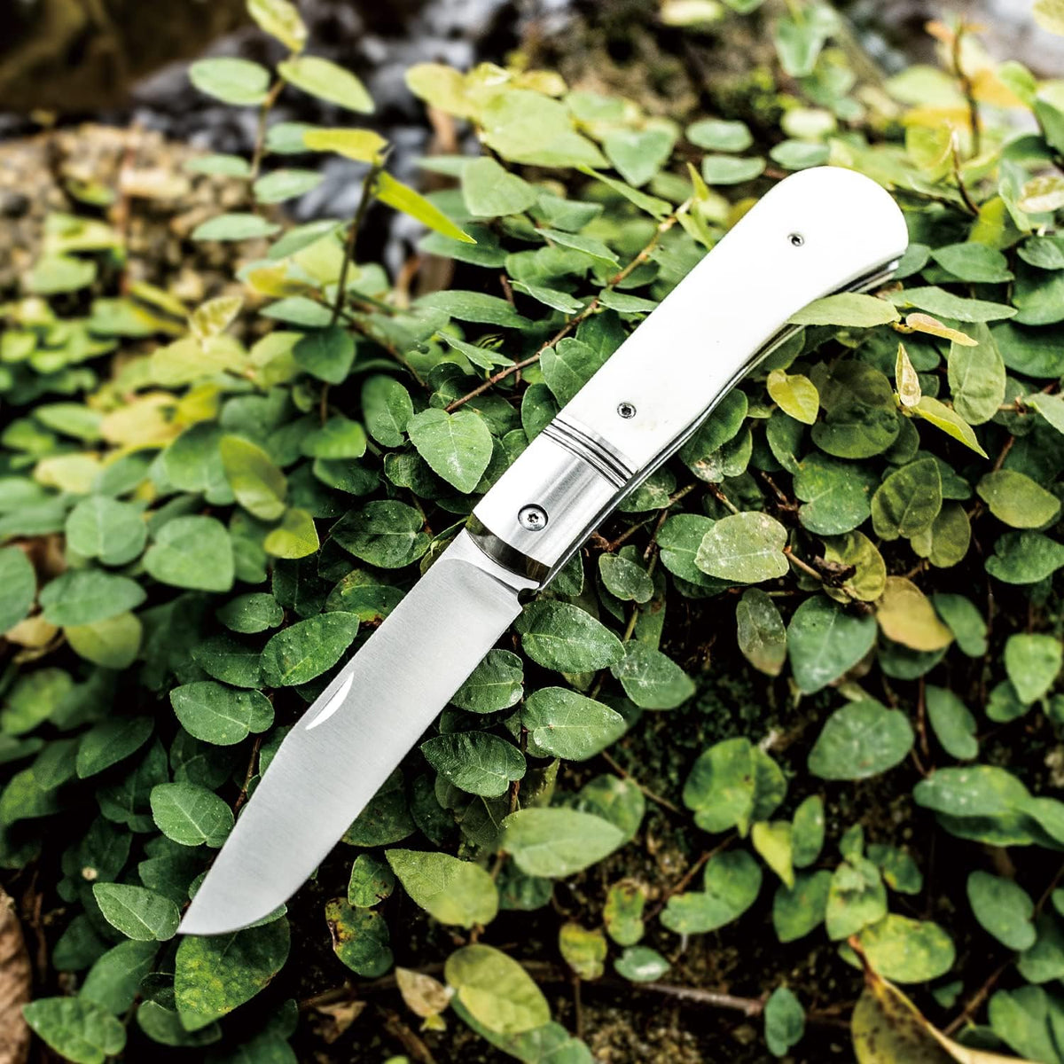Folding Pocket Barlow Knife with Leather Sheath, 3in Bohler M390 Steel Blade, TC4 Ti Alloy & OX Bone Handle R557