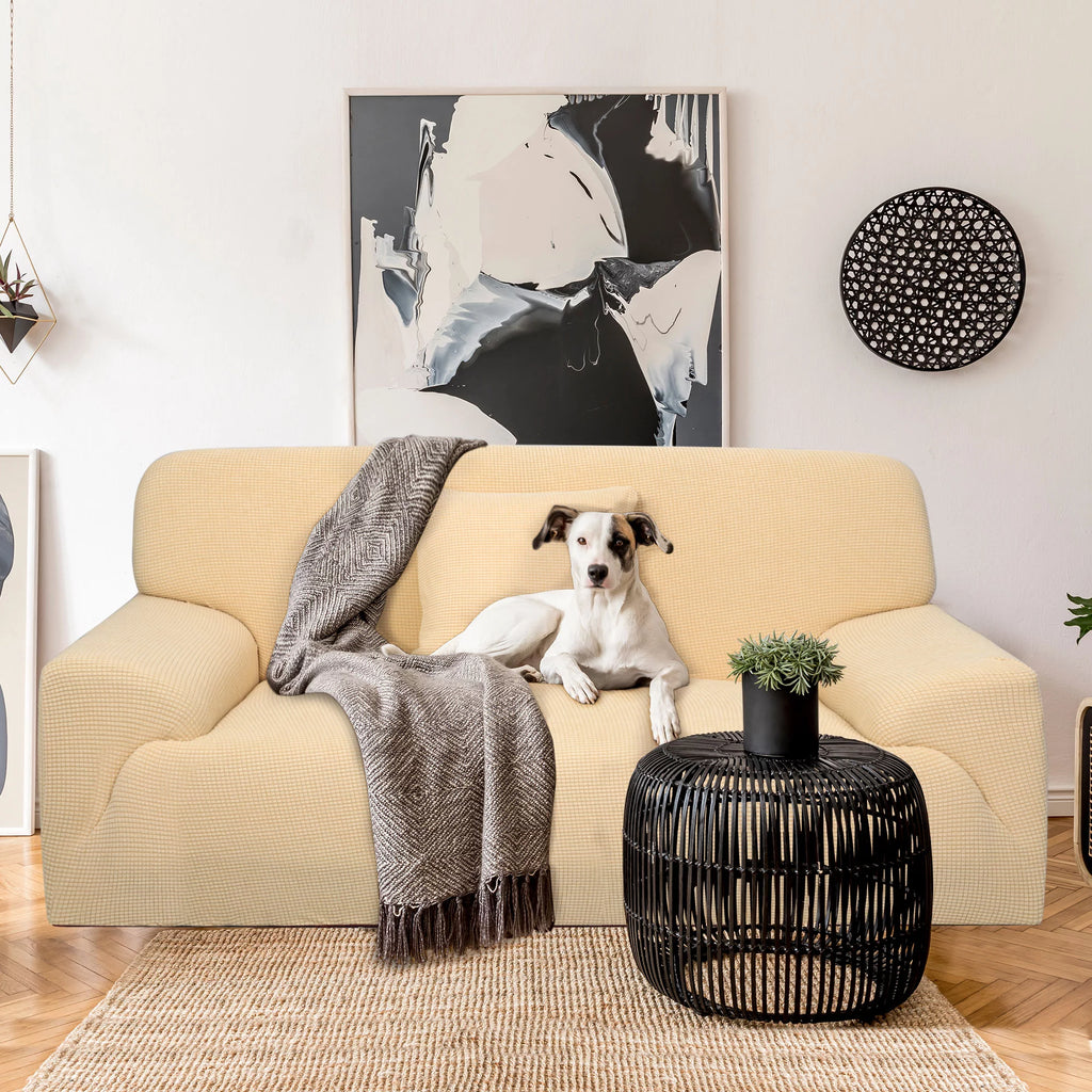 Yellow Sofa Stretch Slipcover with 1 Cushion Cover D806