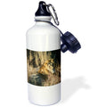21 oz Sports Water Bottle Z4587