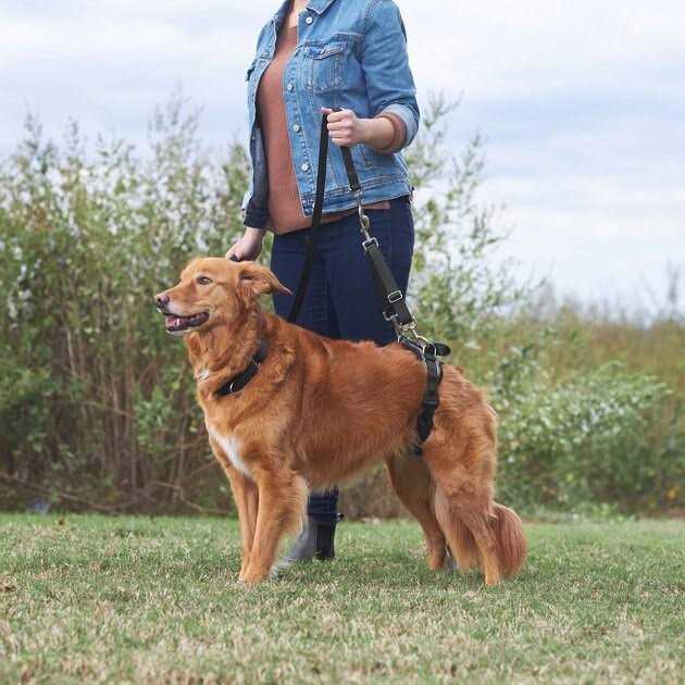 Handicapped Support Dog Harness K70644