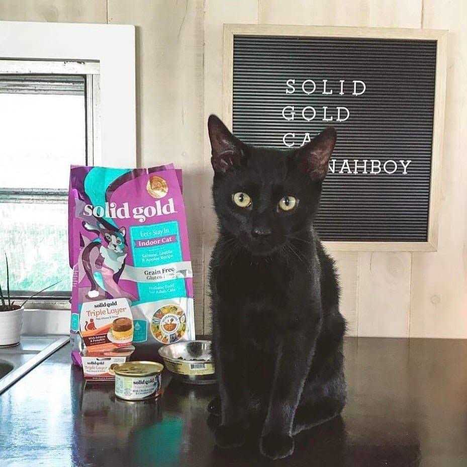 Solid Gold Indoor Lentil & Apple Recipe Grain-Free Dry Cat Food Y2035