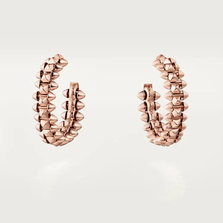 Earrings C479