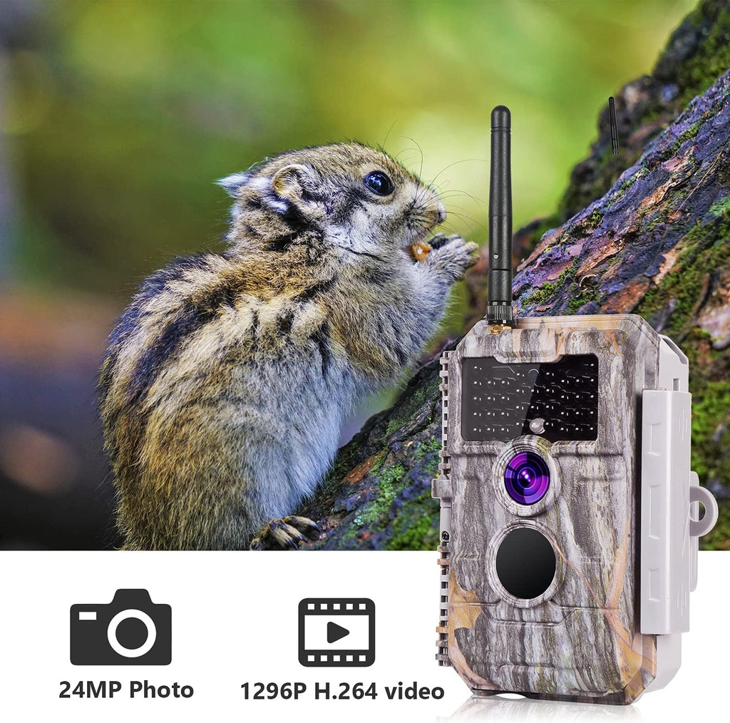 24MP 1296P No Glow Night Vision Waterproof Trail Game Camera Pack of 2 B534