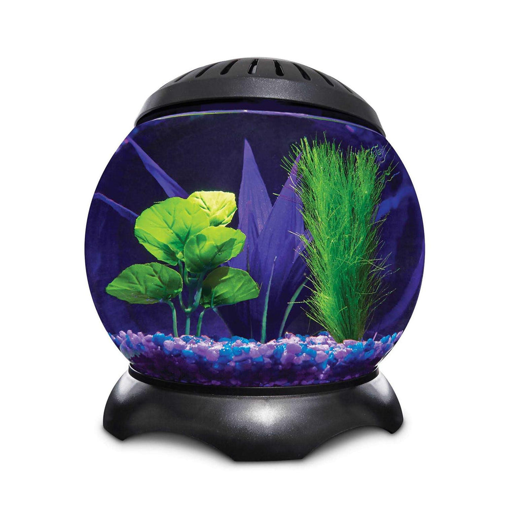 1.3 Gallon Lotus Tank S766672