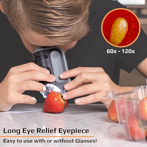60x-120x LED Pocket Microscope Kit V15185
