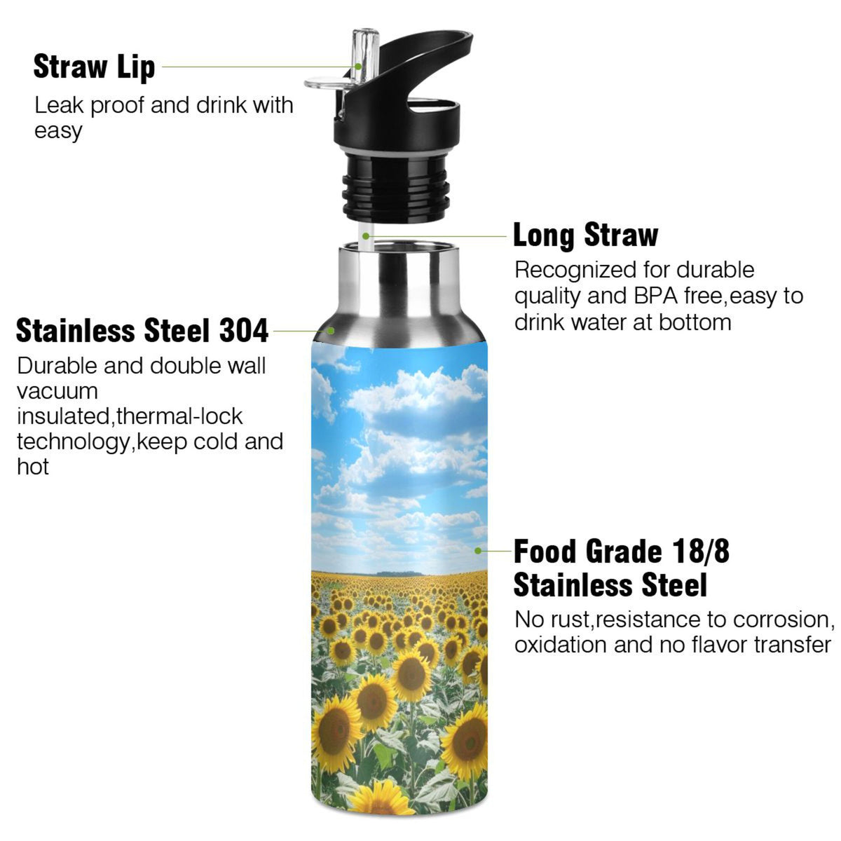 Insulated Thermos Stainless Steel Water Bottle with Straw Lid Flask 20 oz G154