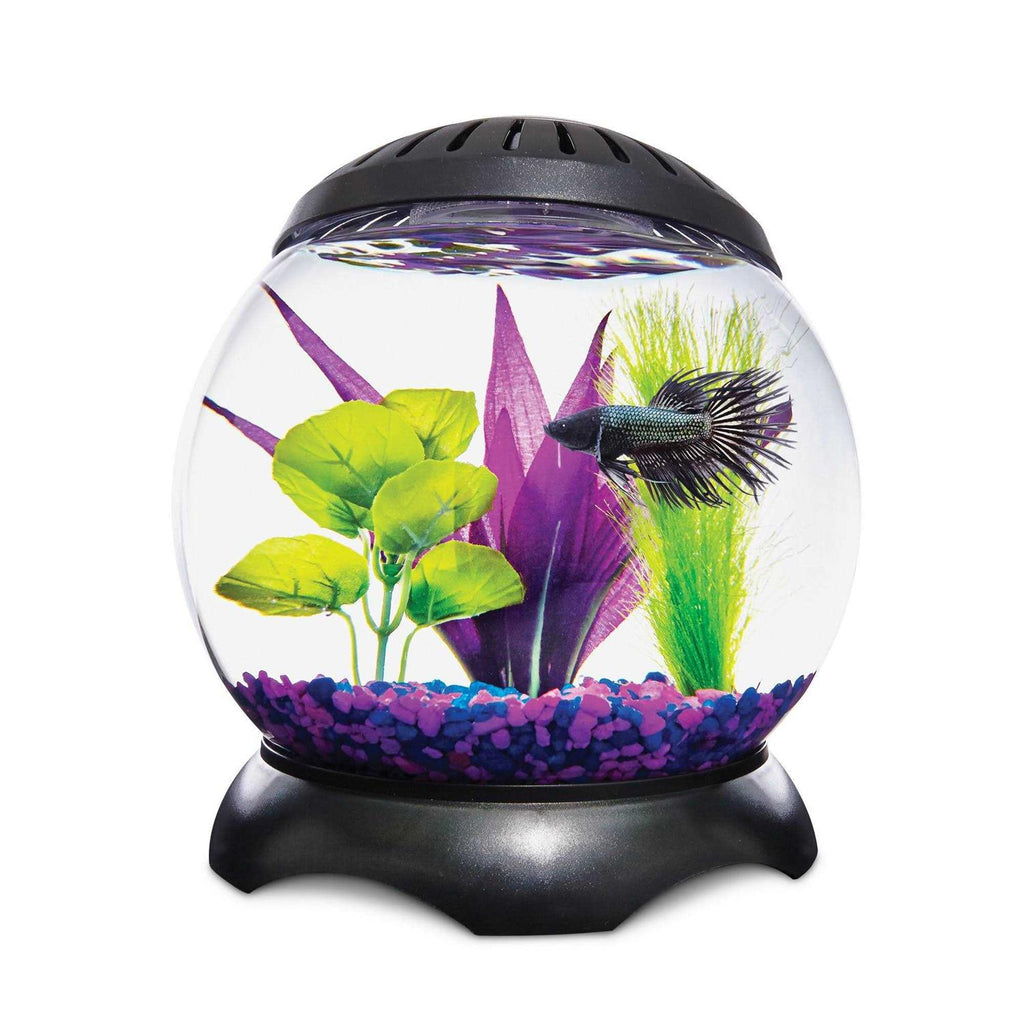 1.3 Gallon Lotus Tank S766672