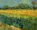 Unframed Loose Canvas P900780