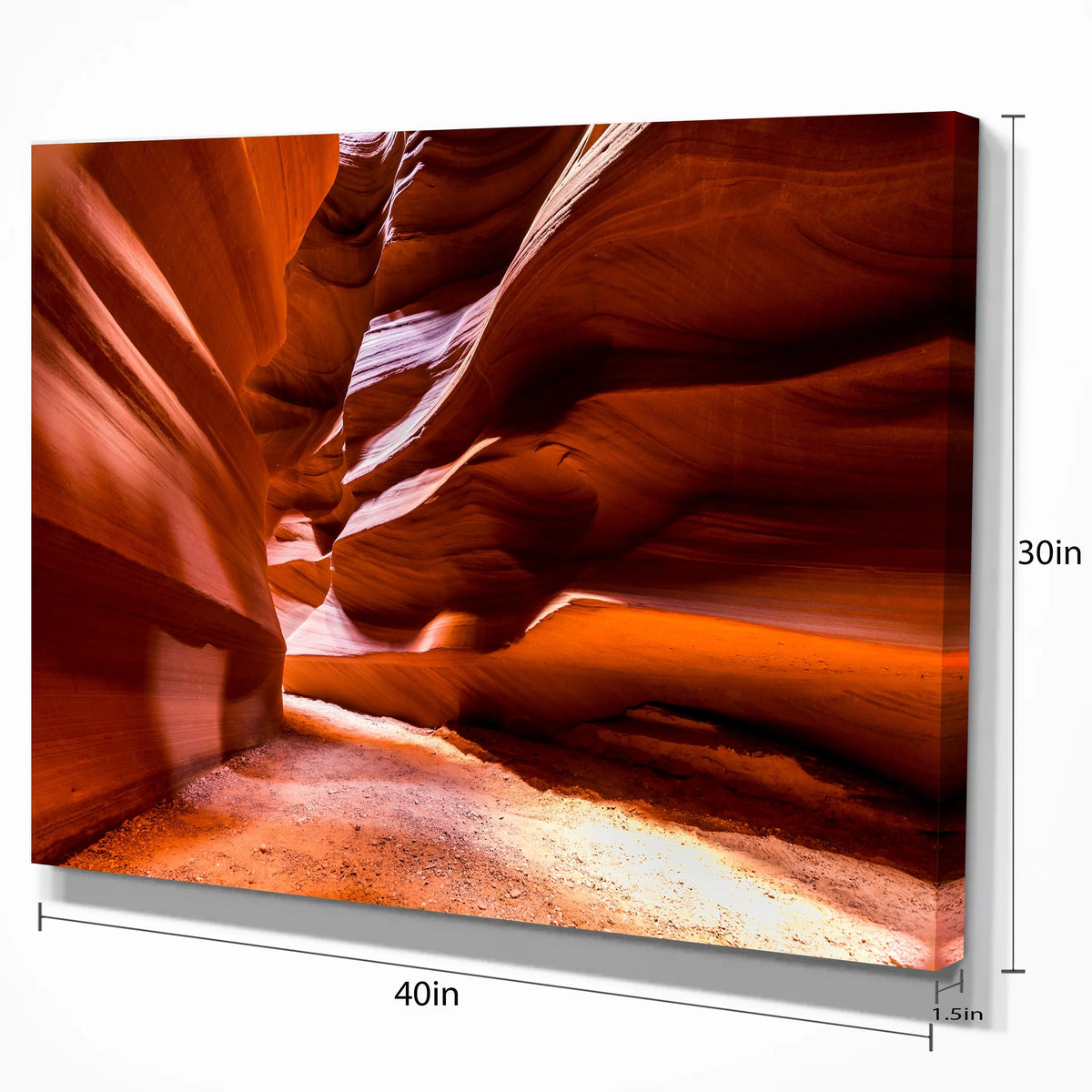 4 Piece Photographic Print on Wrapped Canvas Set H32265