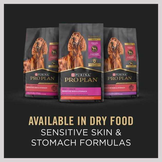 Oat Meal Entree Wet Dog Food R7764