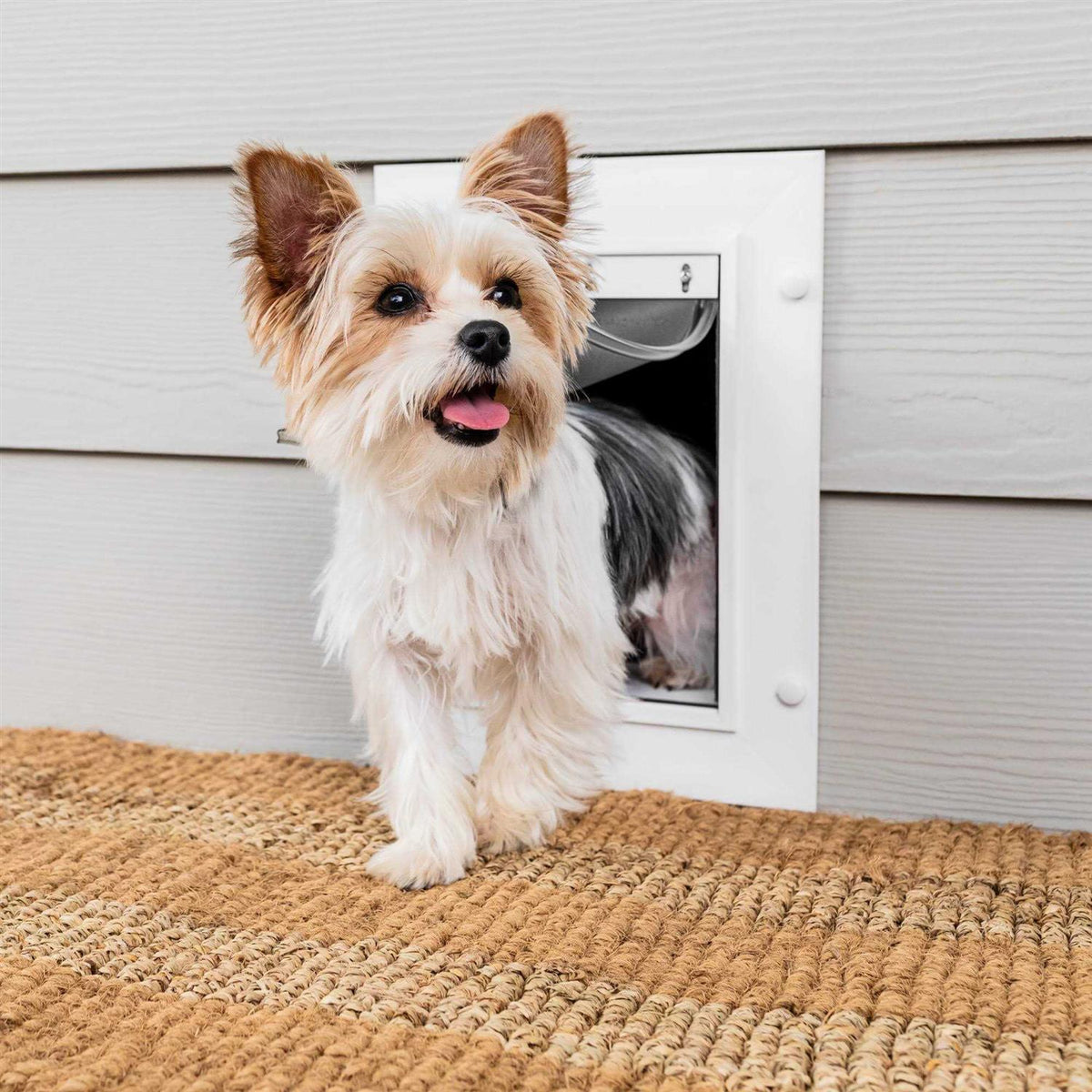 Wall Entry Pet Door E494157