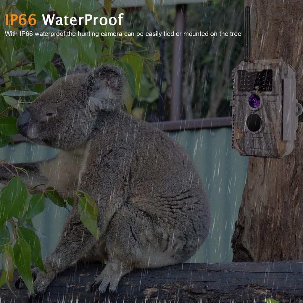 24MP 1296P No Glow Night Vision Waterproof Trail Game Camera Pack of 2 B534