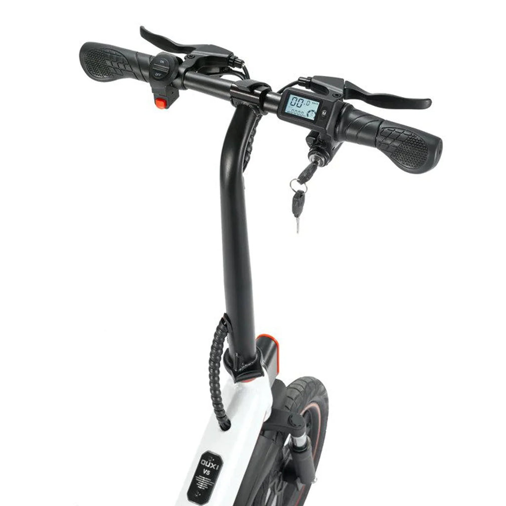 Folding Electric Bike with 400W Motor R890708