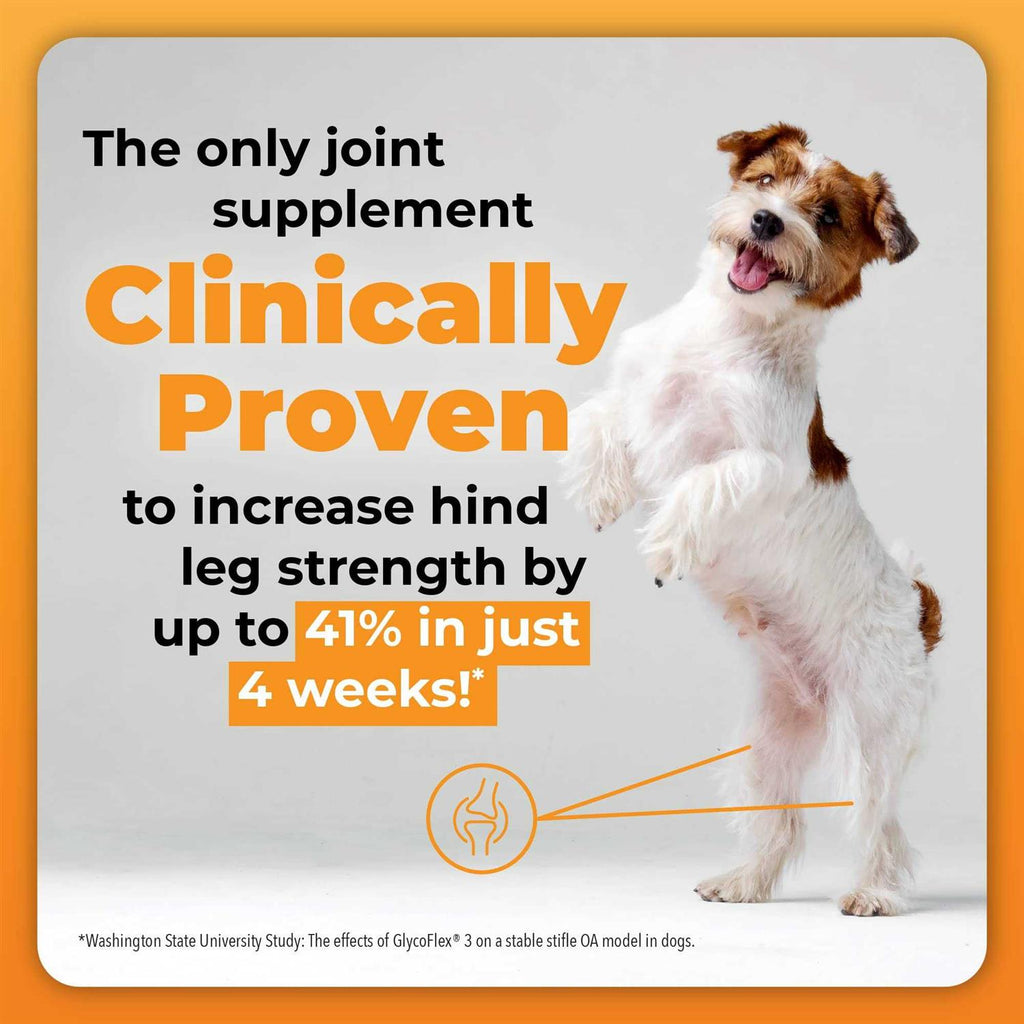 Joint Supplement for Small Dogs A67068